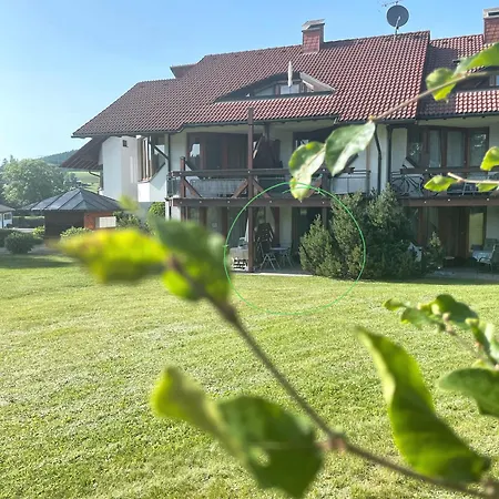 Viktor Apartment Titisee-Neustadt Exterior photo
