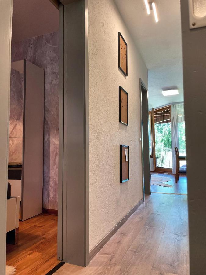 Apartment Viktor - Schwarzwald