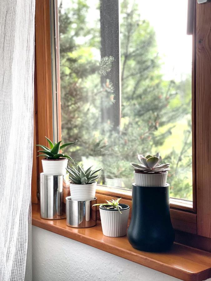 Apartment Viktor - Schwarzwald