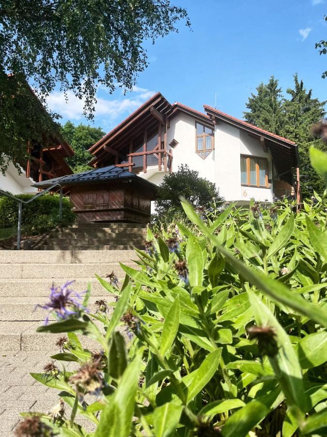 Apartment Viktor - Schwarzwald *