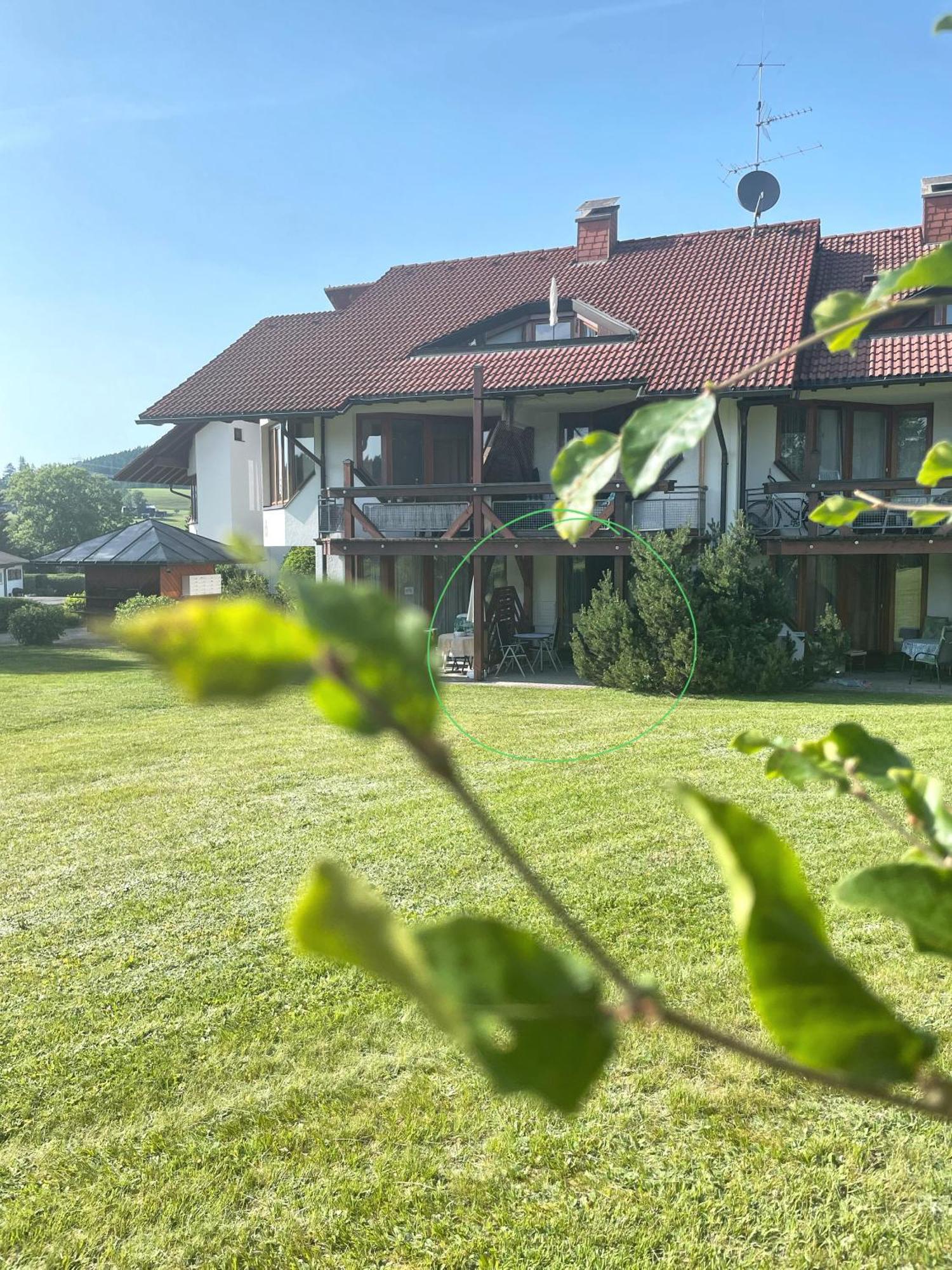 Viktor - Schwarzwald Apartment